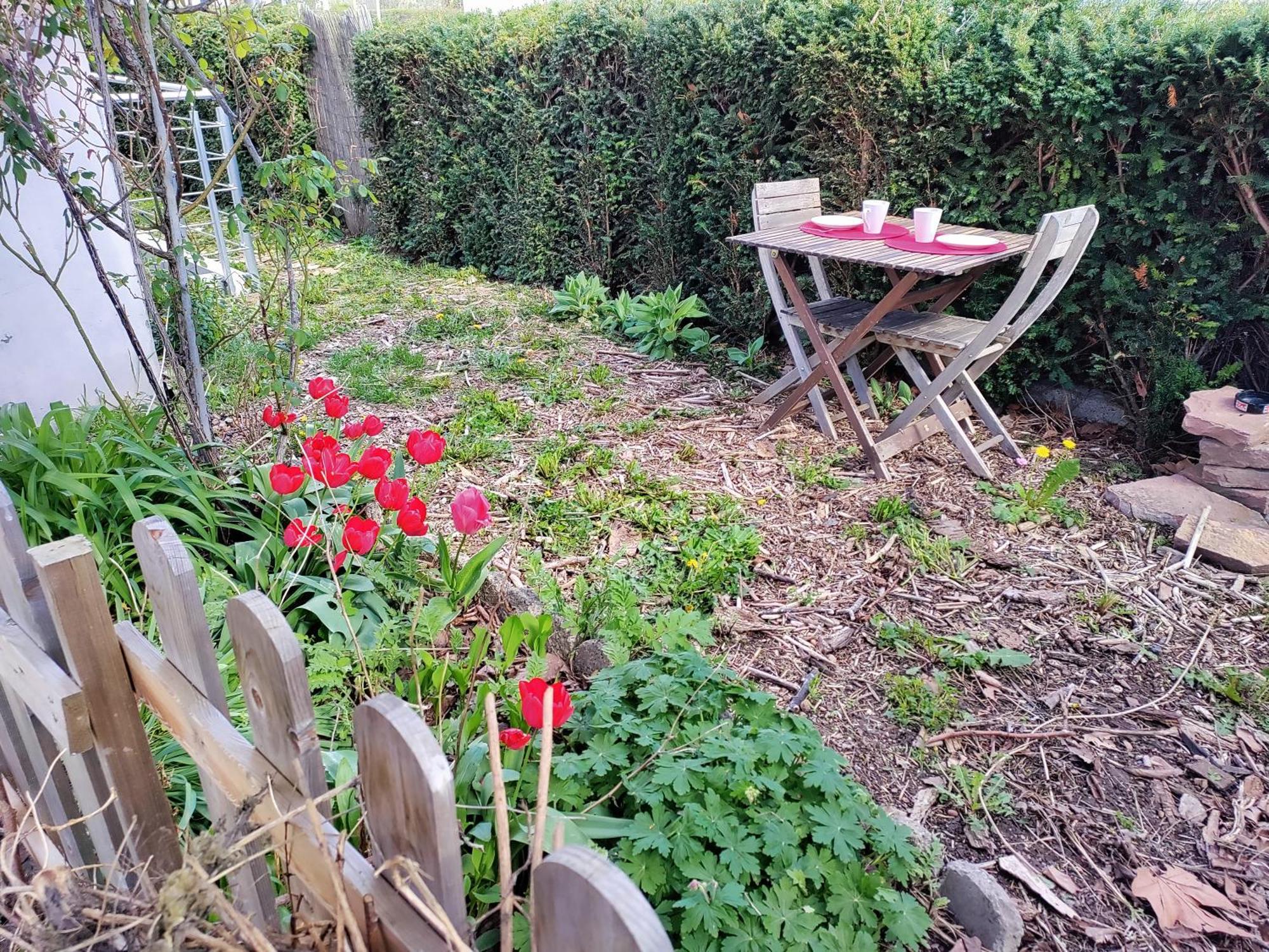 Les Coquelicots, Calme, Jardin Appartement Colmar Buitenkant foto